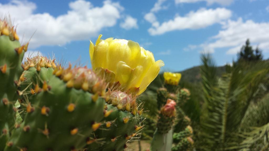 La Suite Di Segesta Calatafimi Eksteriør bilde